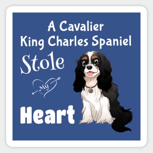 My Tri-Colored Cavalier King Charles Spaniel Stole My Heart Sticker